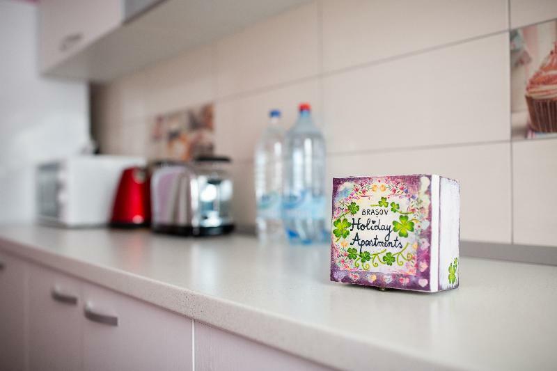 Brasov Holiday Apartments - Magenta Ngoại thất bức ảnh
